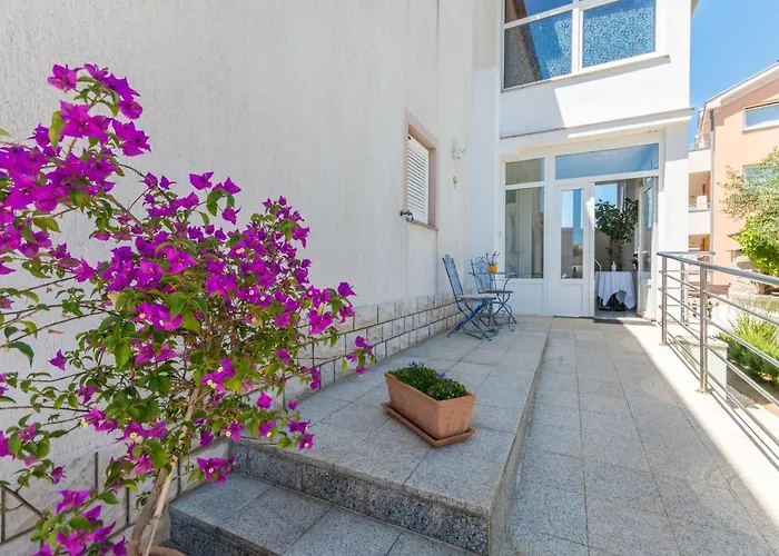 Allegra * زادار