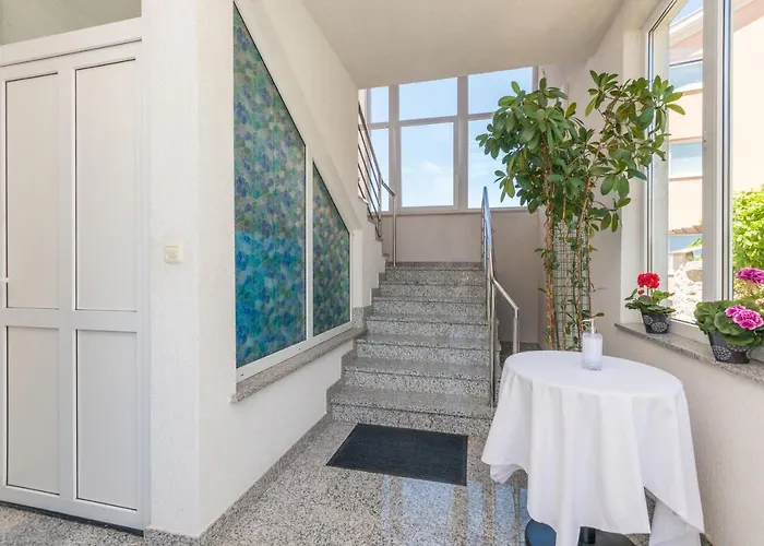 Allegra * زادار